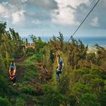 CLIMB Works Keana Farms - Zipline Tour (5 mins from wedding venue)