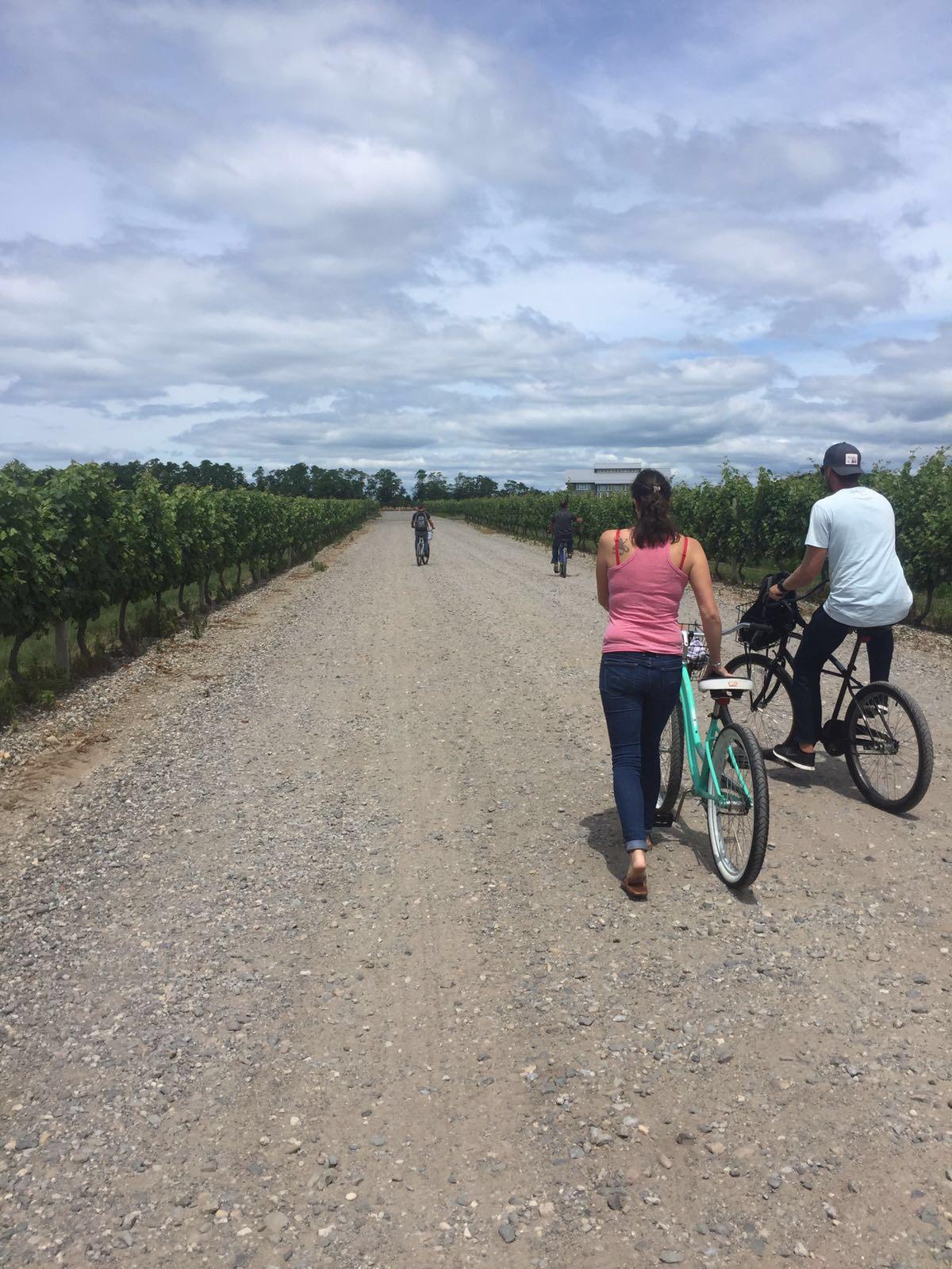Biking to the winery, Kontakosta.