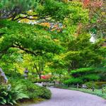 Washington Park Arboretum