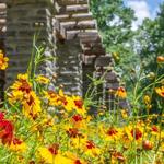 Stoneleigh Garden