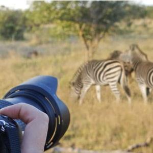 Safari Camera Equipment