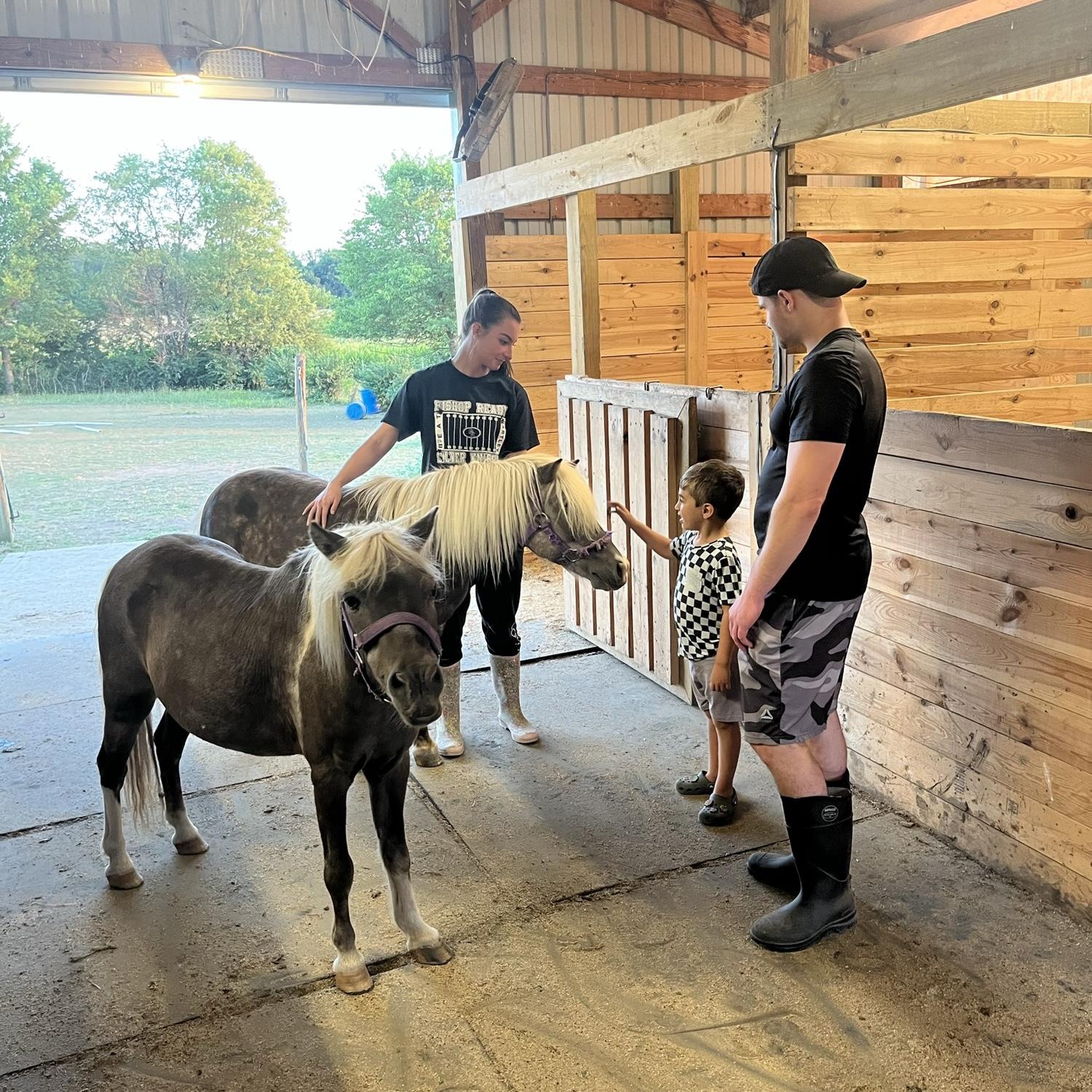 Mateo meets the minis - We brought the little boys home August 2024