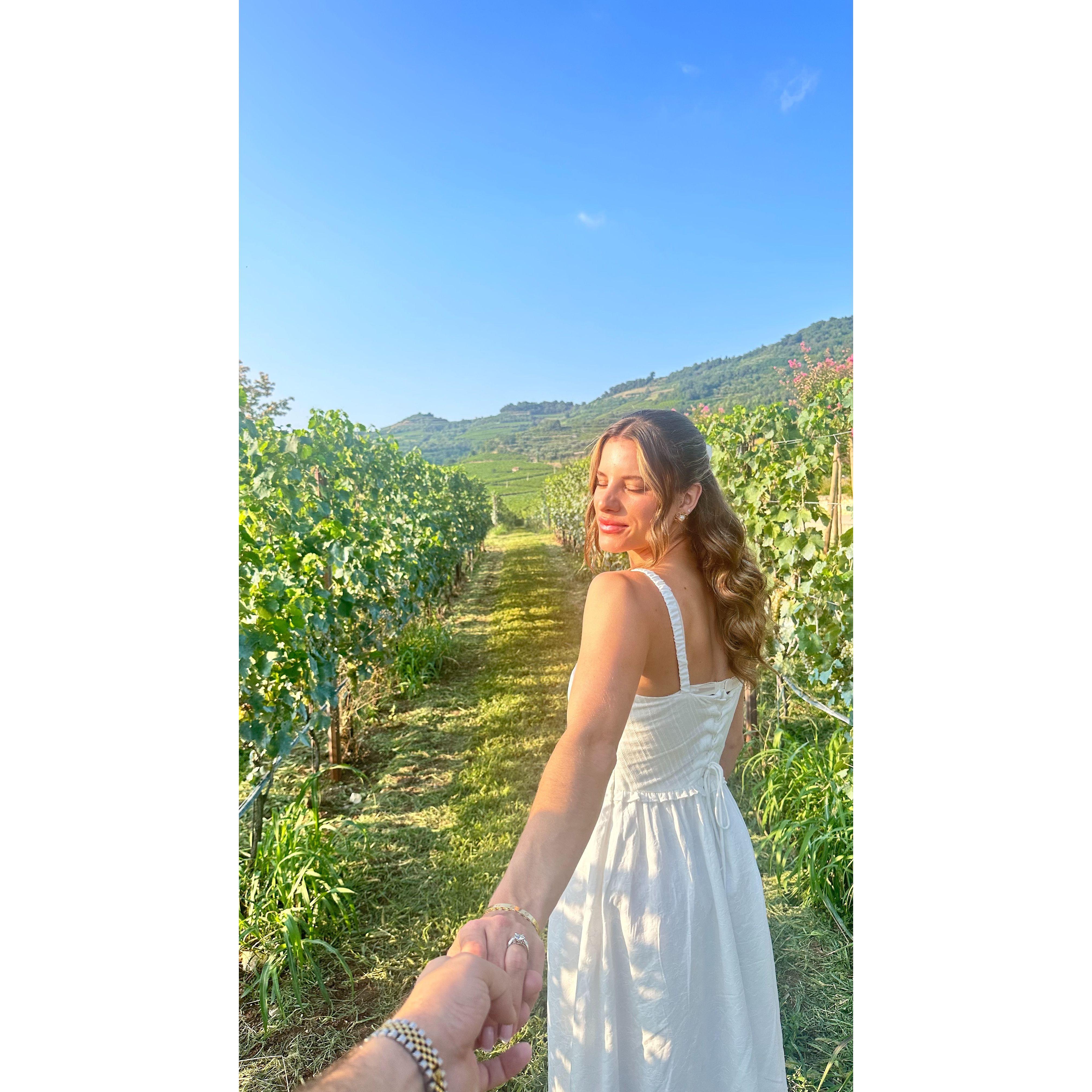 8/20/24 Following Olivia through the vines at Pieropan.