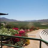 L.A. CETTO - Boutique Valle de Gpe.