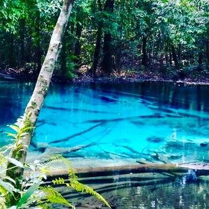 Tour of Emerald Pool & Hot Spring Waterfall