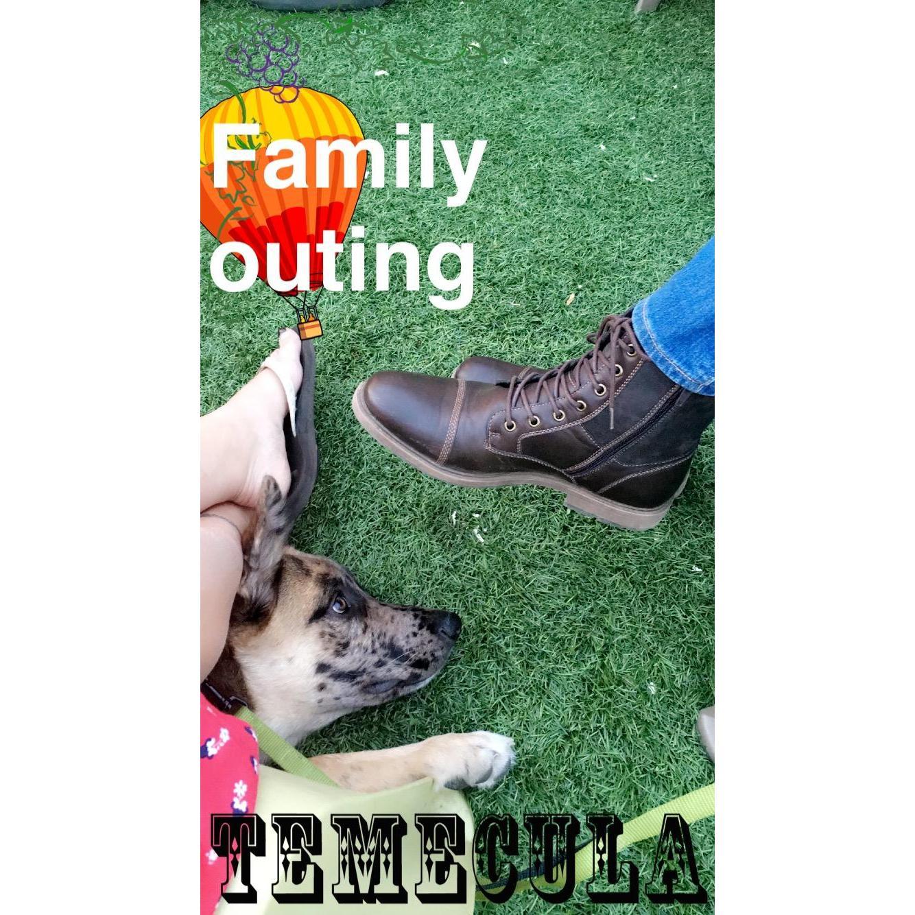 Just hanging out at the winery down the street (nbd) 2016