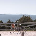 Bike Rentals