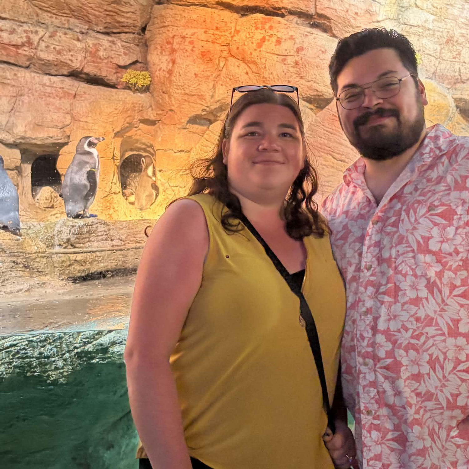 Found the Penguins at the new Mote Aquarium in Florida