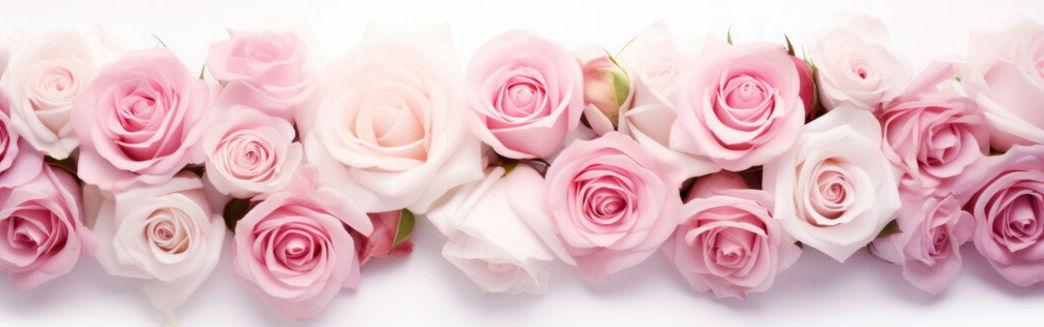 The Wedding Website of Janeth Gutierrez Vazquez and Andres Gurrola