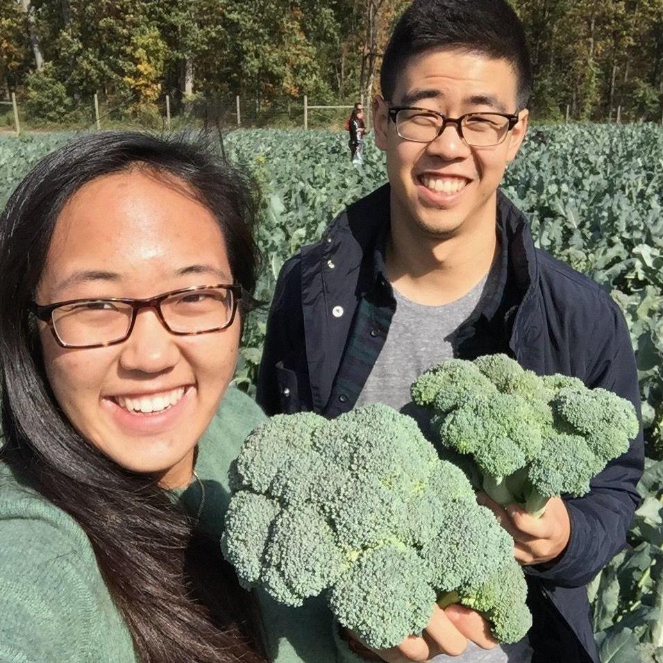 We love fiber (since college)