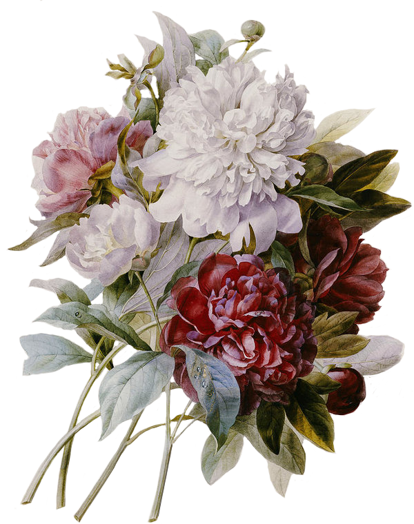 The Wedding Website of Emma Nalbone and Ned McGregor