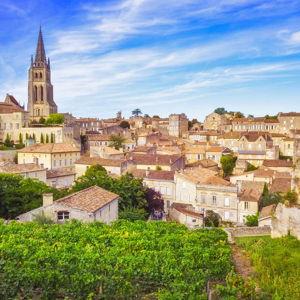 Wine Tours in Bordeaux