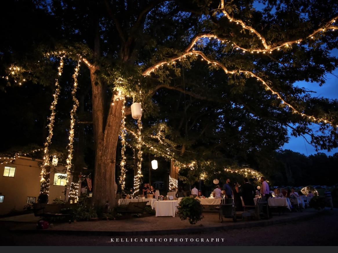 The Wedding Website of Lauren Tennant and Tyler Lancaster