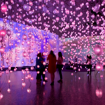 The Museum of Fine Arts, Houston