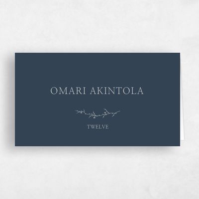 Grayed Navy, Blue Wedding Place Card - Earlewood