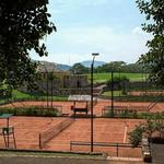 Tenis