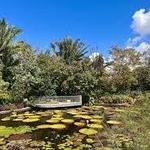 Naples Botanical Garden