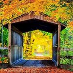Kal-Haven Trail Sesquicentennial State Park