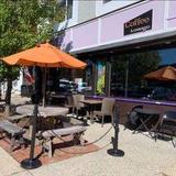 The Purple Pit Coffee Lounge