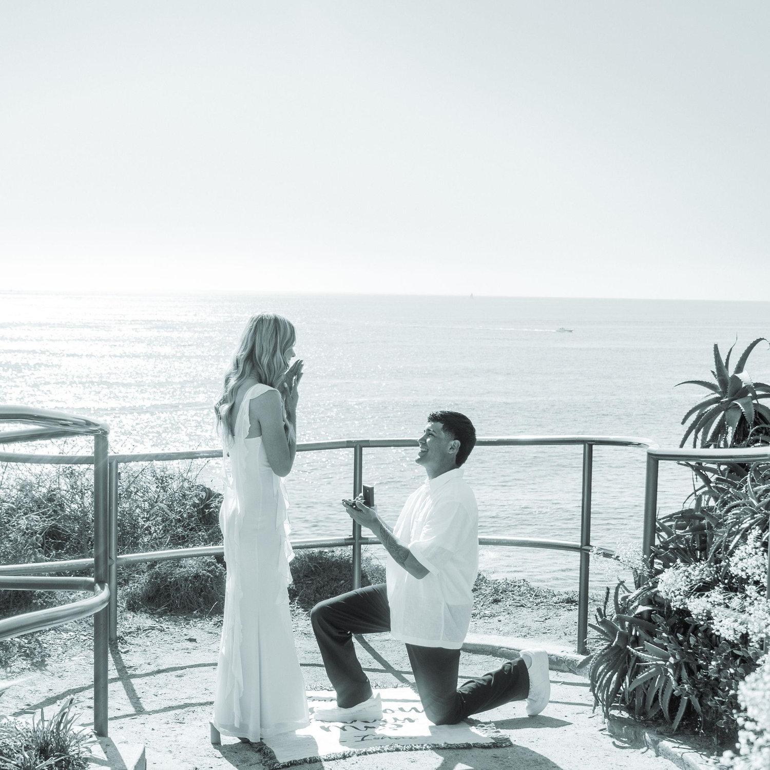 the proposal!