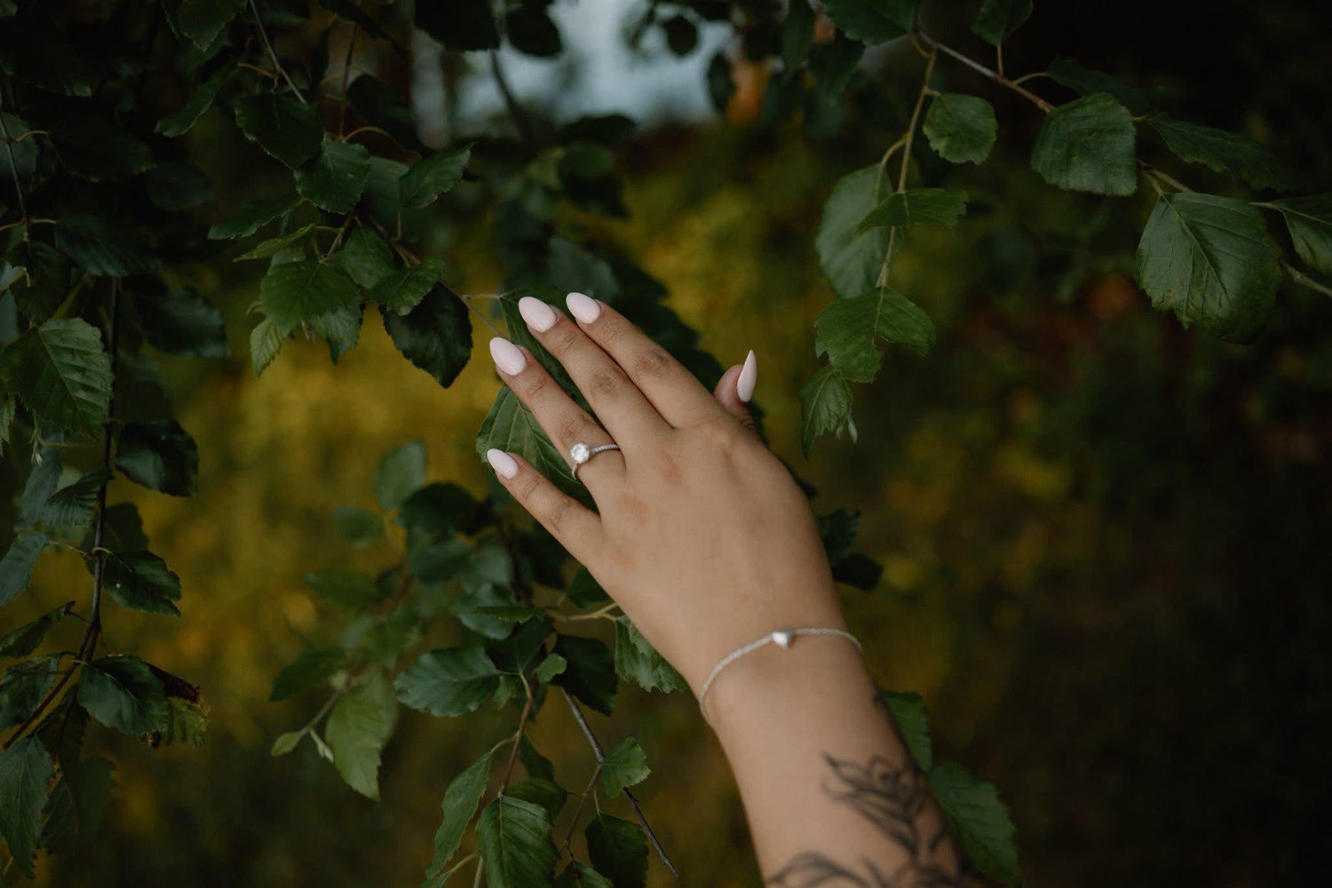 The Wedding Website of Dominique Price and Joshua Eckert