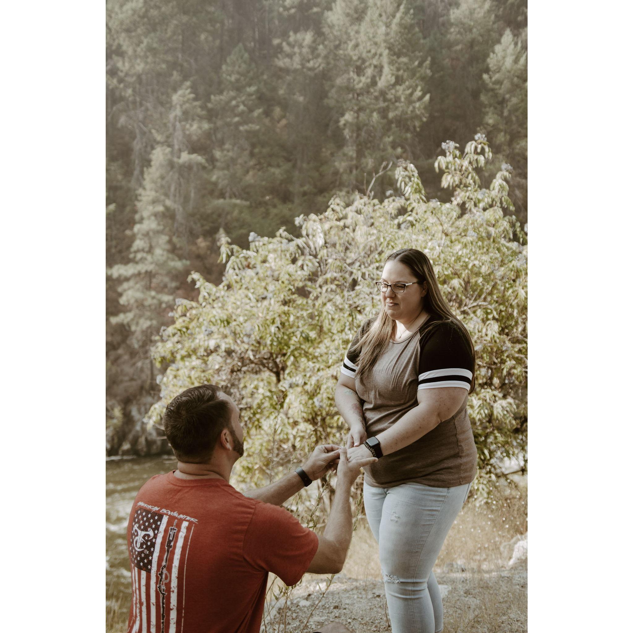 Proposal August 2024