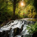 Dún a Rí Forest Park
