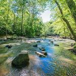William B. Umstead State Park