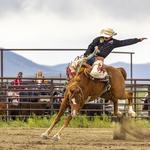 Brash Rodeo Columbia Falls
