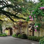 The Clubs at Houston Oaks