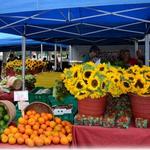 Saturday Morning Market