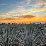 Tequila - Pueblo Mágico