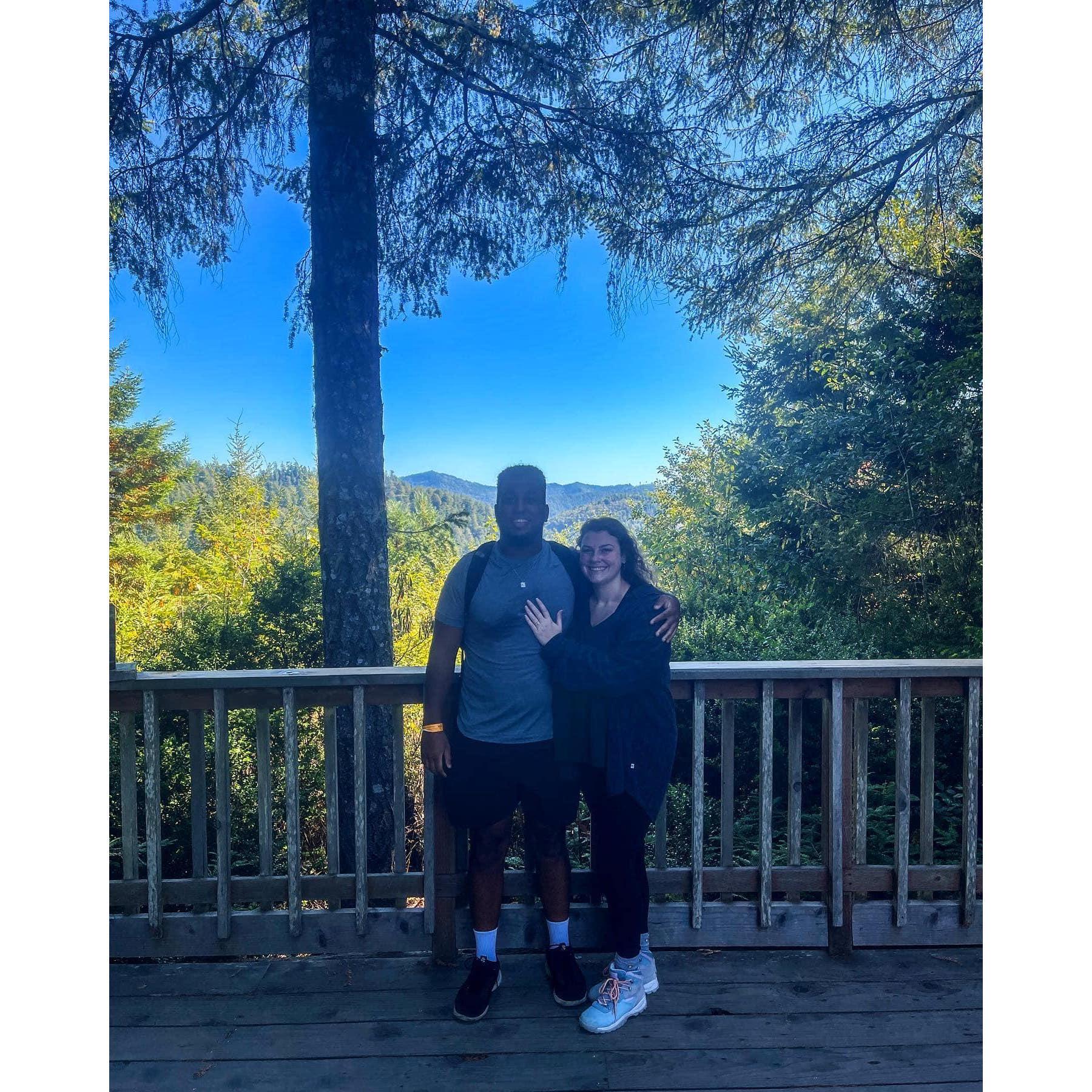 The day we got engaged in the Redwoods!