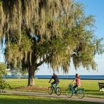 Mandeville Lakefront