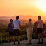 Assisi Winery Tour and Tasting