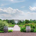 Old House Vineyards