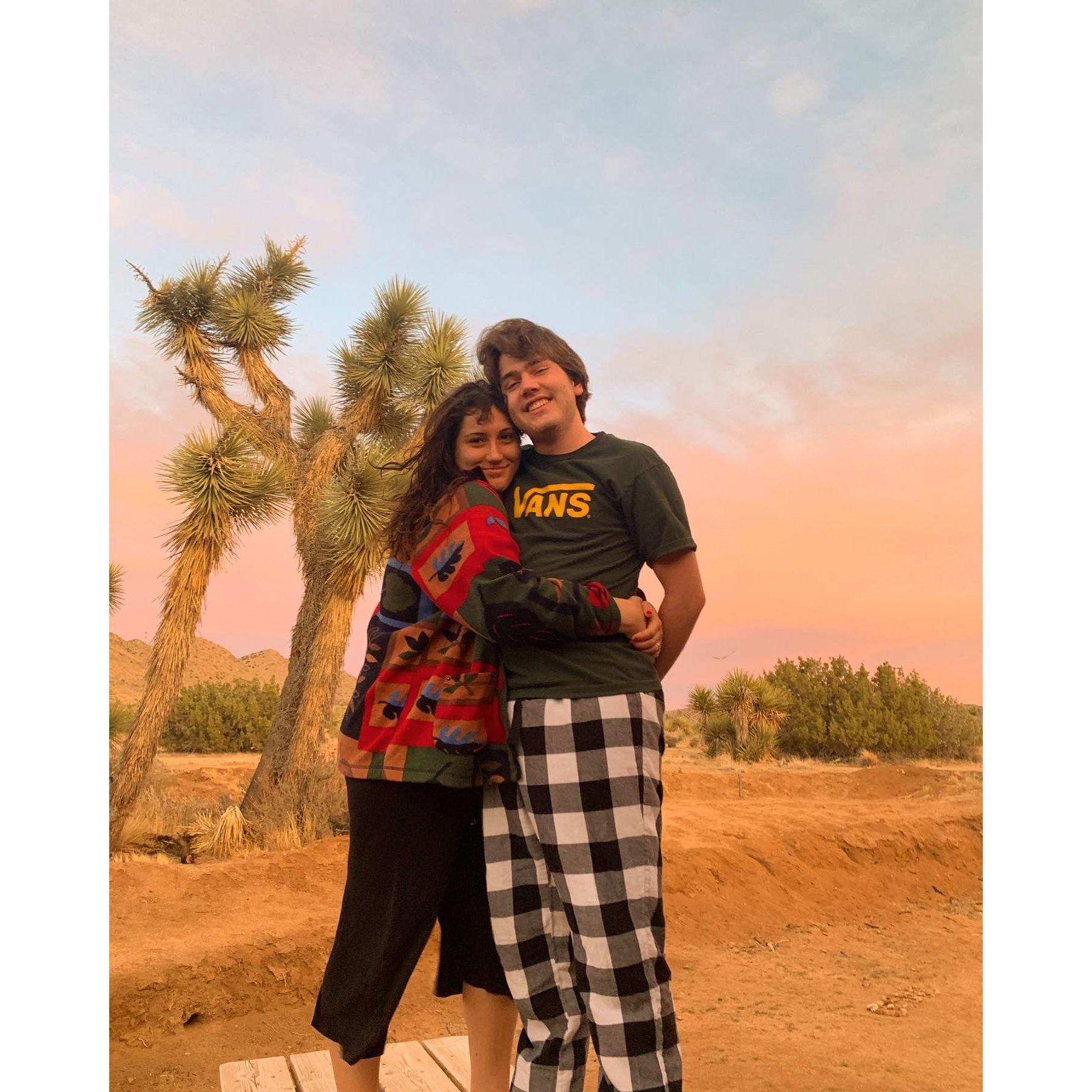 Joshua Tree, 2021
