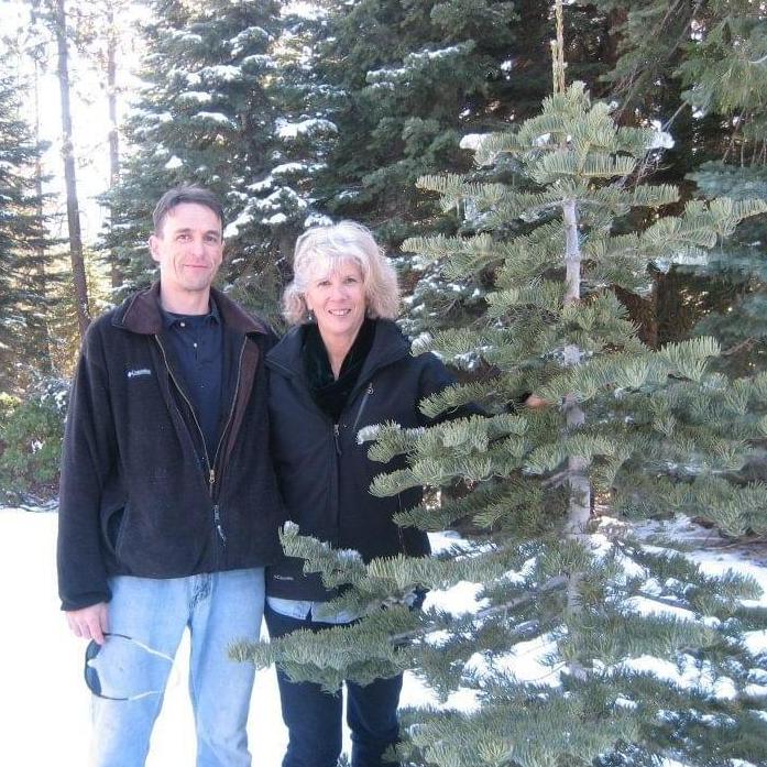 Christmas tree cutting