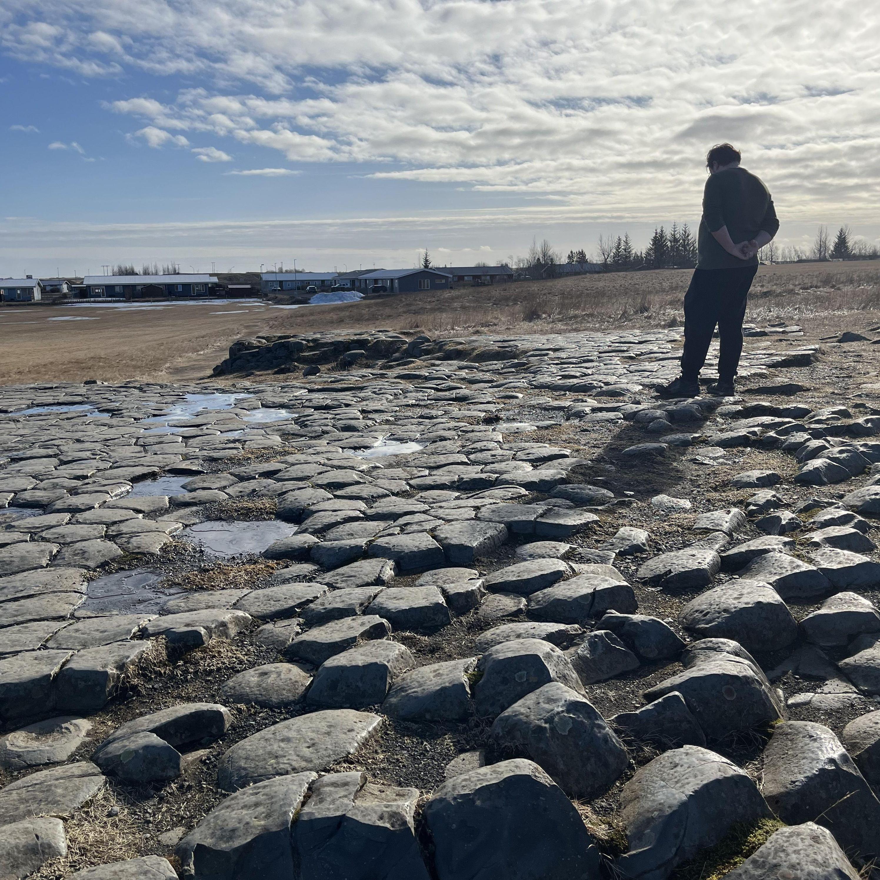 Kirkjugolf - what some theorize to have previously been a church floor. The hexagonal shapes come from the tops of basalt columns