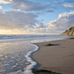 Carlsbad Beaches