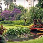Sunken Gardens
