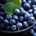 Annual Rangeley Blueberry Festival - 8/16
