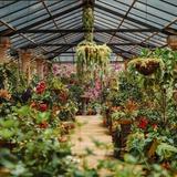 Vallarta Botanical Gardens