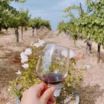 Wilson Creek Winery