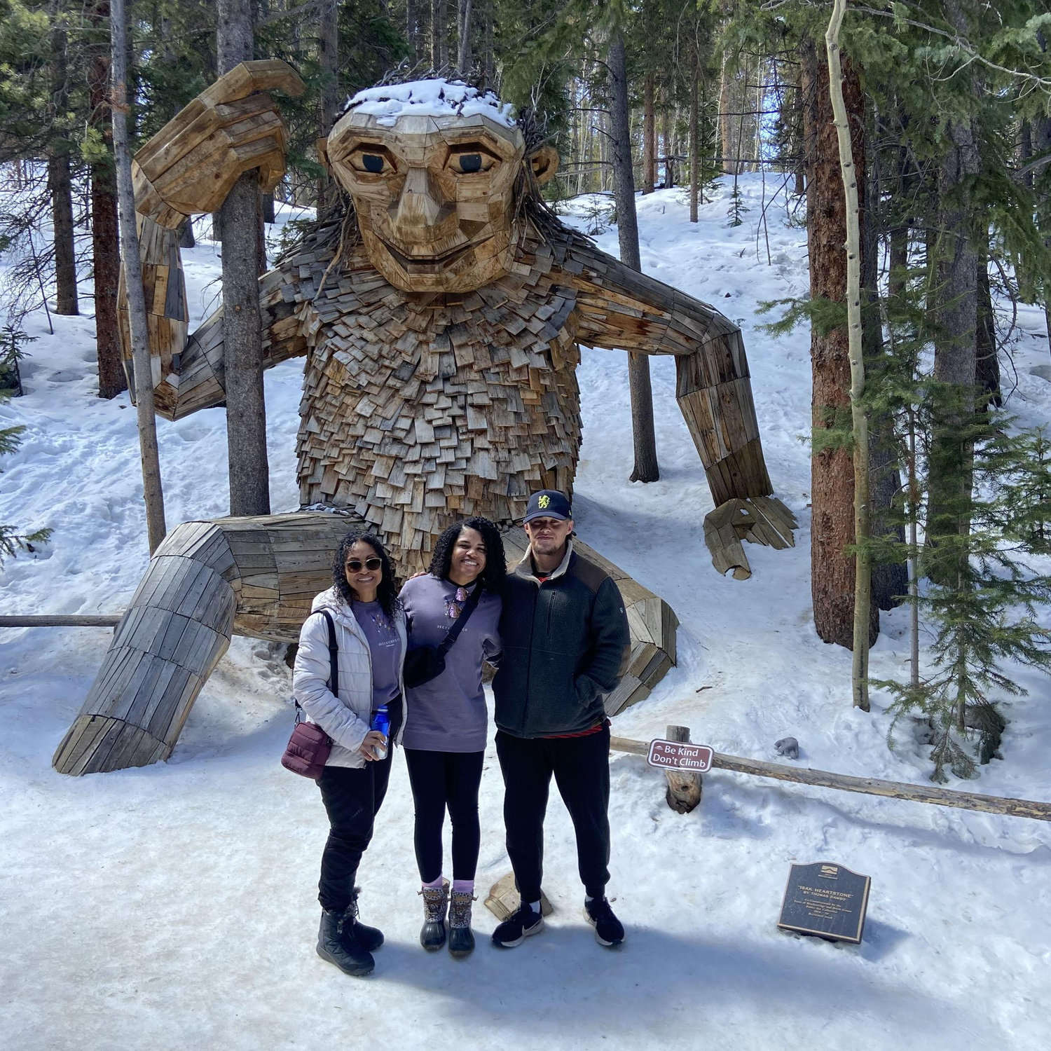 The Breackenridge Troll