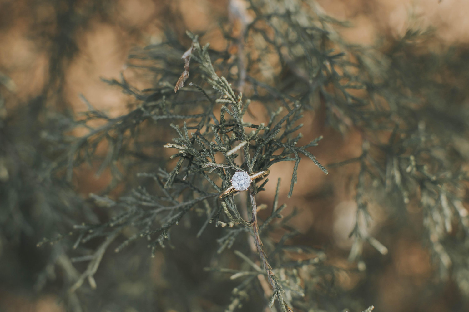 The Wedding Website of Ashley Priester and Collin Harter
