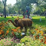 Bronson Park