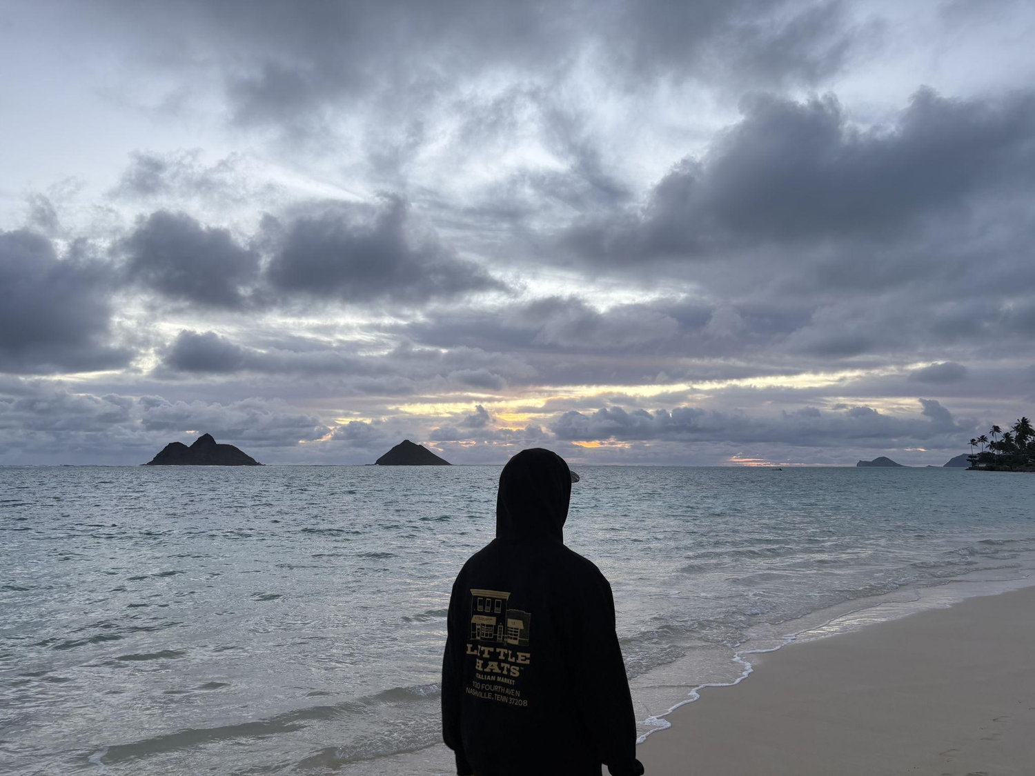 The Wedding Website of Ashley Barnett and Pono Kaaa