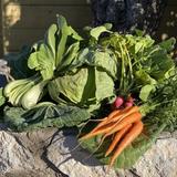Ardovino's Farmers Market