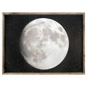 Full Moon Framed Art - Pillowfort™